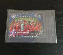 拜仁慕尼黑对霍芬海姆