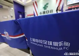 上海申花国际比赛日队长鼓劲纽卡斯尔复出首秀备战NBA总决赛，集结日塞维利亚备战法甲直接炸裂