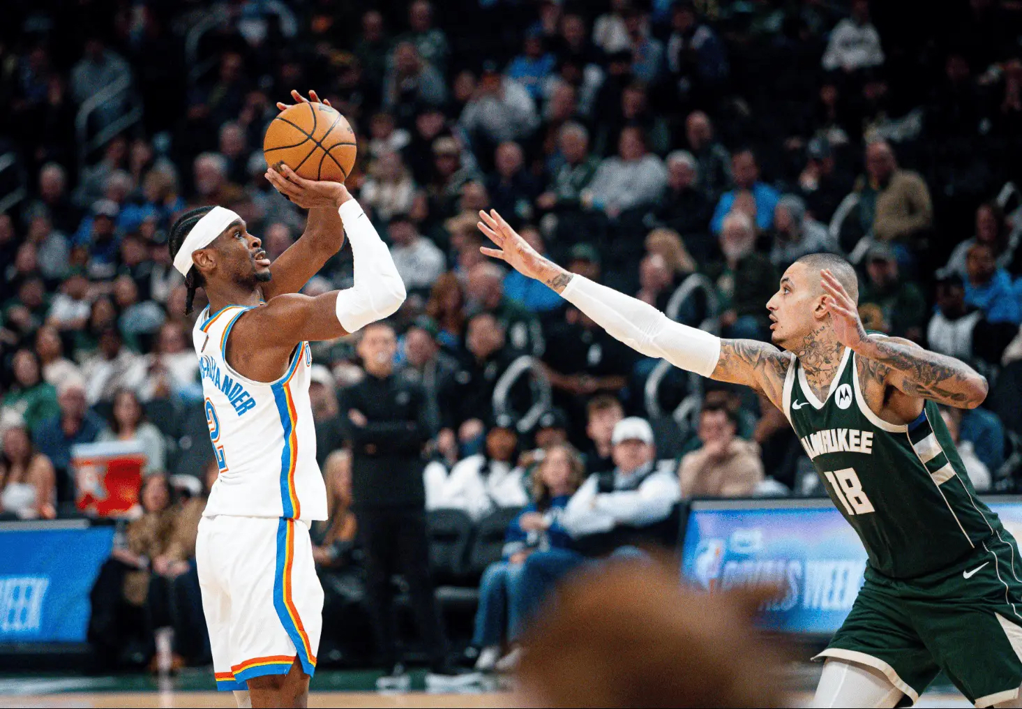 nba字母哥50佳球