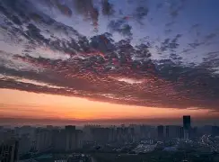 提莫和成都蓉城完成续约